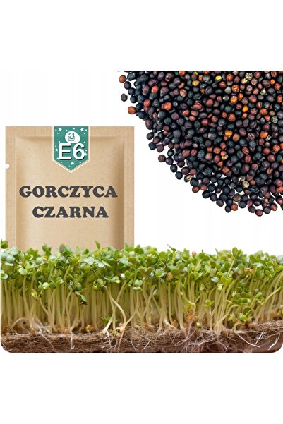 Other 51Seed E06 SEMINȚE DE MĂSTURCĂ NEAGRĂ PENTRU GERMINARE 20G