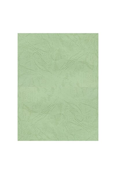 MC Micostore Coperta indosariere A4, carton imitatie piele, fistic, 230g/mp, ...