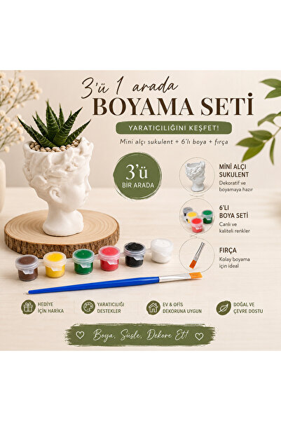 Hem Çocuklar Hem Yetişkinler İçin 3'ü 1 Arada Mini Alçı Helen Sukulent Boyama Seti – 6'lı Boya + Fırça – Hobi ve Dekoratif Boyama Kiti