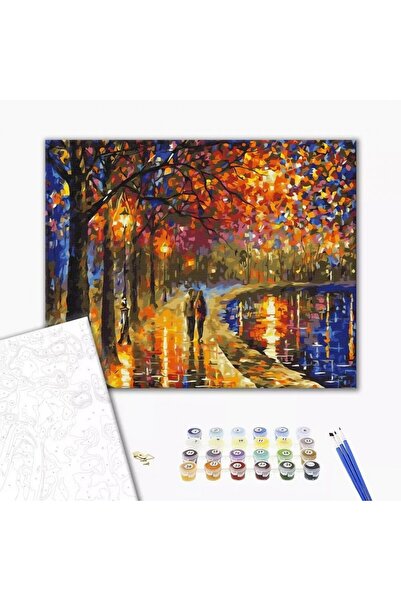 MC Micostore Set Pictura pe numere 40x50cm, Brushme - Plimbare noaptea in par...