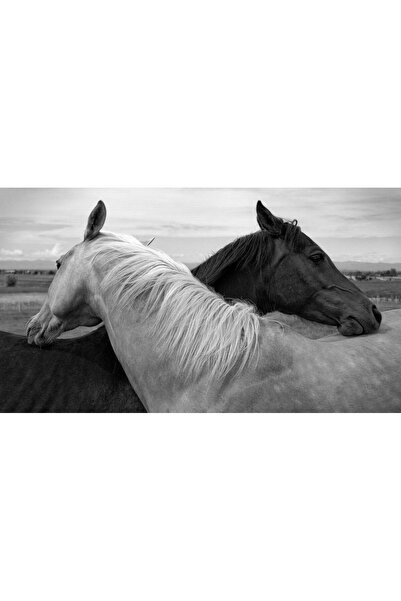 Persona Tablou canvas 100 x 70 cm, Animale model 460