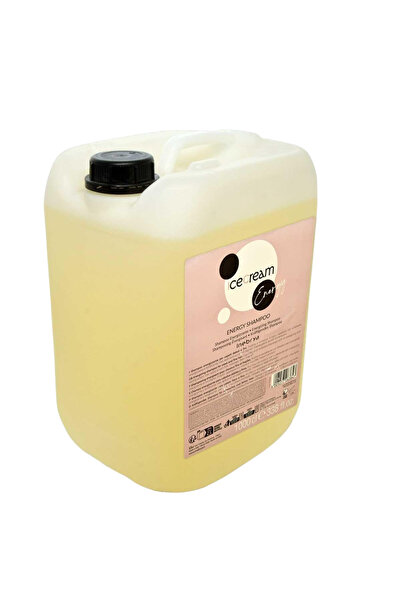 Inebrya Ice Cream Energy șampon anticădere, refill 10L, pentru toate tipurile...