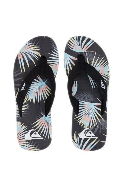 Quiksilver ΜΟΛΟΚΑΪ ΛΕΪΜΠΑΚ AQYL101241-SYJ1 Πολύχρωμο 41