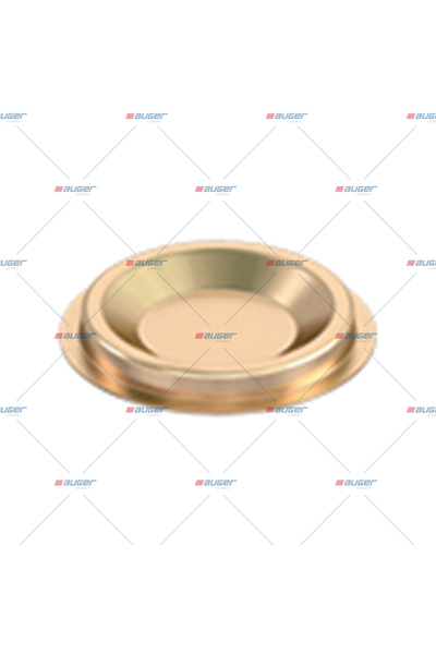 Auger Capac Compresor 2000-2026