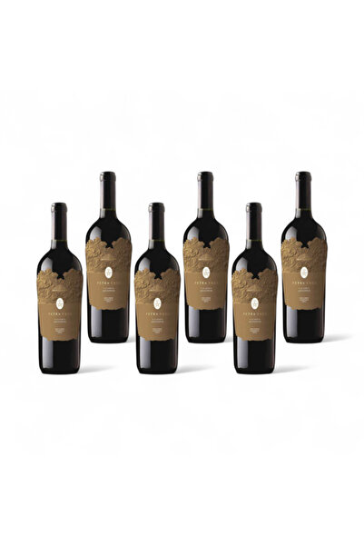 Coulisse Vin Rosu Sec Montemajor Petra Ceci 13.5%, 6 x 0.75L