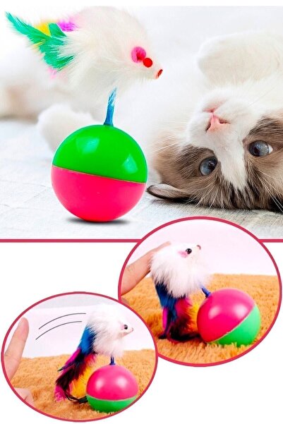 Empressco Cat Play Ball with Mouse Hacı Yatmaz