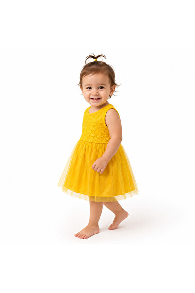 Genericc Girls' Sleeveless Lace and Tulle Dress 1 Year