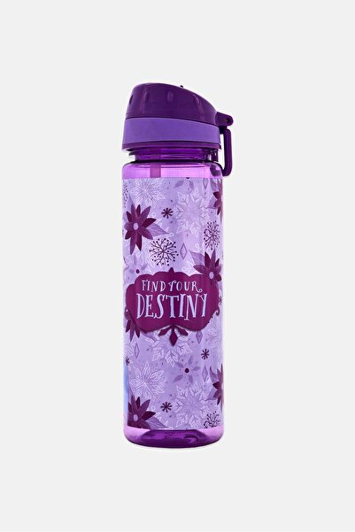 Disney Frozen Find Your Destiny Water Bottle 250ml Purple