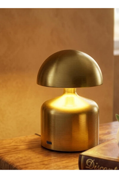 Cady One USB C Rechargeable Touch Led Table Lamp 3 Color Dimming Desk Lamp Be...