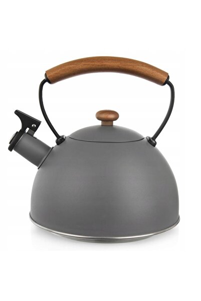 Orionis Ceainic cu fluier din oțel inoxidabil, gri, decorativ, ORION 2,9 L