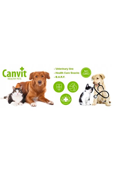 NO BRAND Supliment pentru pisici CANVIT Biotină 100 g