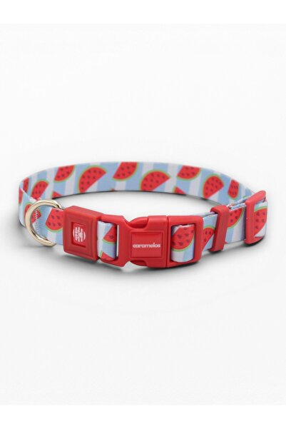 CARAMELOS Dog Collar-Dog Neck Collar- Small Breed Collar- Medium Breed Collar- 2 cm