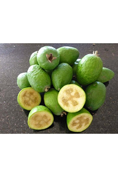 123 Purple Passion Fruit Seeds 1000 Units, Decorative Climbing Plant for Gard...