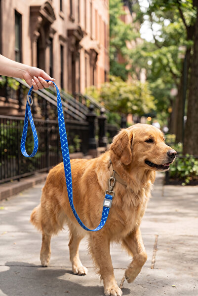 GOBYPET Köpekler İçin Dayanıklı Ve Güvenli, Desenli Gezdirme Tasması ( 25mm )