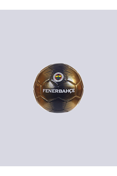 Fenerbahçe HENTBOL TOPU LC NO2