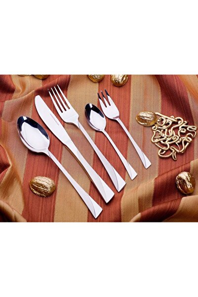 NO BRAND Set de tacâmuri Kinghoff Satin Inox 72 piese Valiză pentru tacâmuri ...