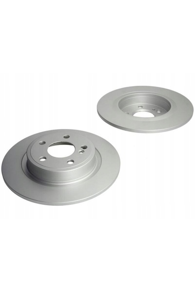 Delphi Home HAM TYL DISC 295X10 P