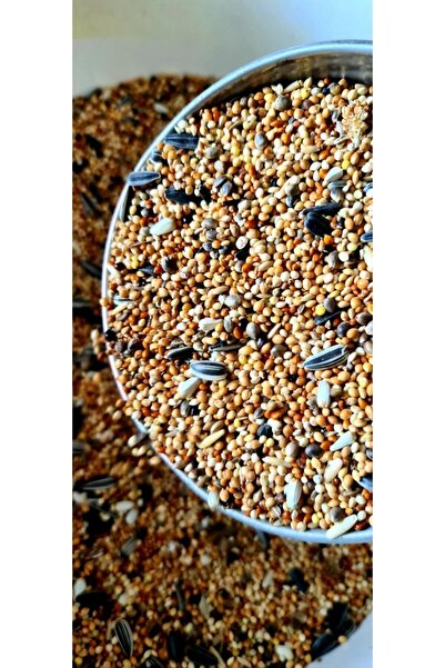 Ankara Yem Evi Forpus Papağanı Yemi 1 Kg