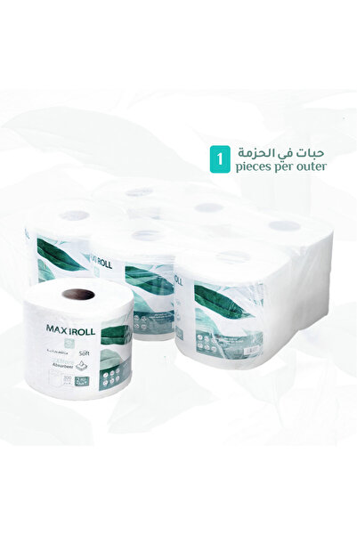 Generic Brand Hadab Maxi Roll 100 X 2PLY (One Piece)