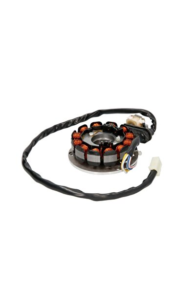 INPARTS Alternator Stator AM6 Minarelli Am-6 (numărul de Bobine: 12) Aprilia ...