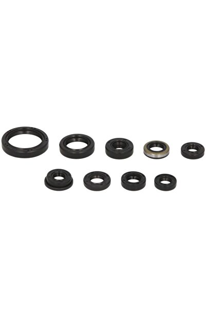 WINDEROSA Set de Garnituri de Motor (cantitate in Set 10 Buc) Kawasaki Kx Kxf...