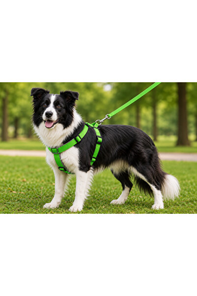 Generic Brand Woven Dog Chest Collar Set with Walking Strap 40*60-110 cm Neon...