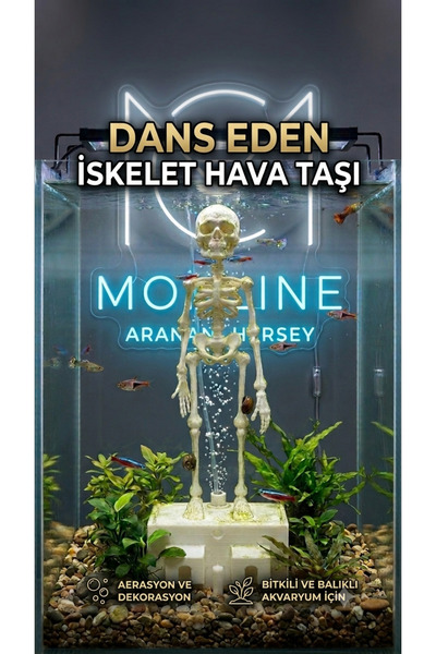 MS AKVARYUM CANLILARI ÜRETİM VE TEDARİK TESİSİ DANS EDEN İSKELET HAVA TAŞI