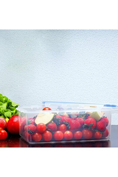 ROYALFORD 2600ml Food Container |Transparent Meal Prep Container | BPA Free, ...
