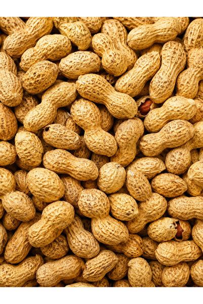yöresel Kavrulmuş Kabuklu yer fıstığı 200 gr