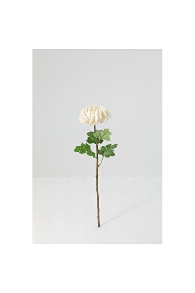 Generic New In Fernza Crab Claw Chrysanthemum Single Branch White H56Cm