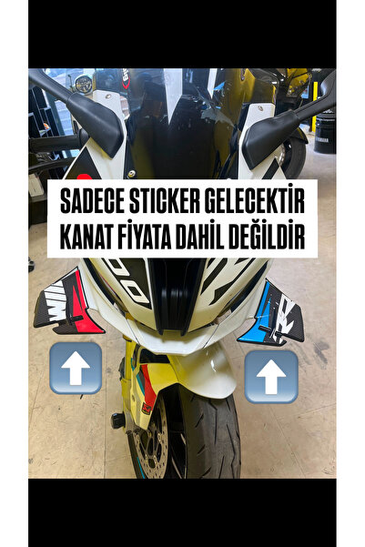 BMW S1000RR 2023-24 KANAT CARBON STICKER