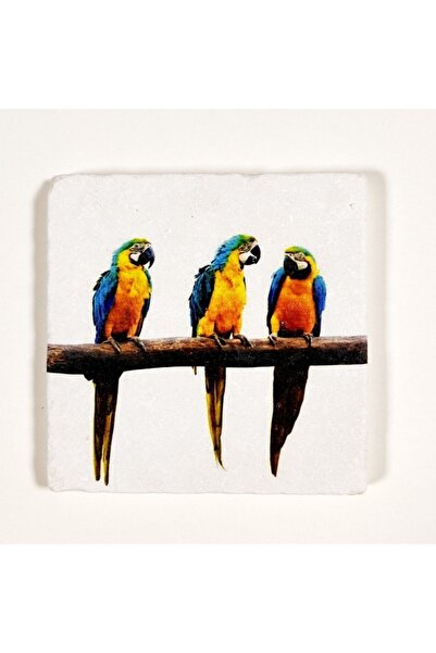 Şeker Portakalım Decorative Figured Special Size 20X20X1 cm Natural Stone Bat...