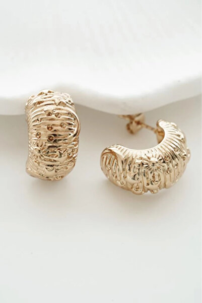 AŞIK ACCESSORIES Curved Moon and Star Motif Steel Earrings