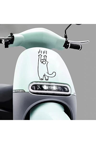 Hediyeni Al Sliding Cat Vehicle, Car, Auto, Motorcycle, Helmet, Laptop, Glass...