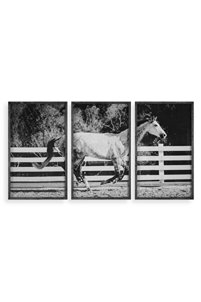 UTTERMOST Galloping Forward Equine Prints, Set/3