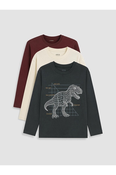 LC Waikiki Anthracite Boy's Long Sleeve T-Shirt 3-Pack W67616D1