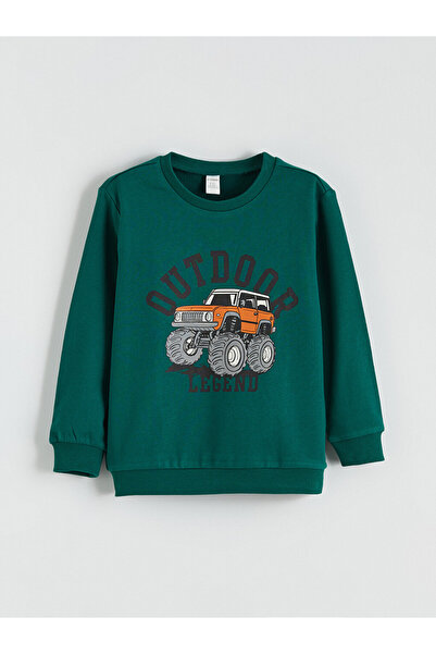 LC Waikiki Printed Boys' Thick Sweatshirt