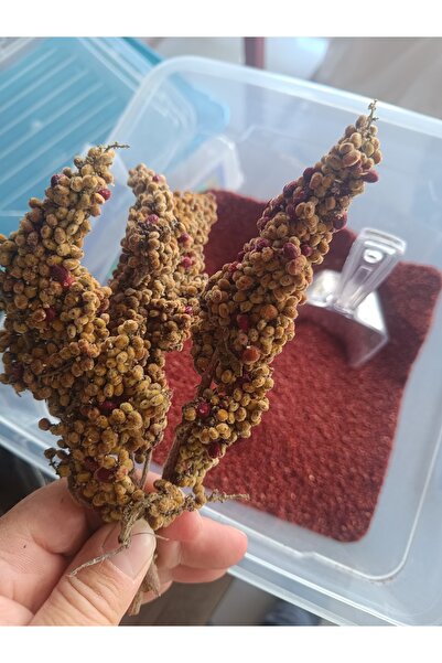 Orijinal ev yapımı toz sumak 500gr