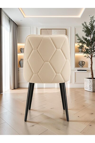 Concept Ayz Home Vienna Nova Serisi 6 Kişilik Krem Kumaş Modern Mutfak Ve Yem...