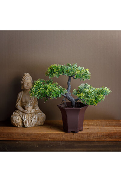 Alista Home Plantă bonsai artificială decorativă de 25 cm, în ghiveci, design...