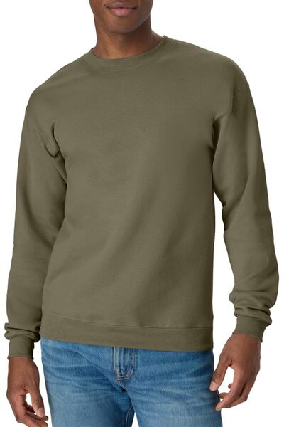 HANES mens Ecosmart Fleece Sweatshirt, Big & Tall Sizes Available, Pullover C...