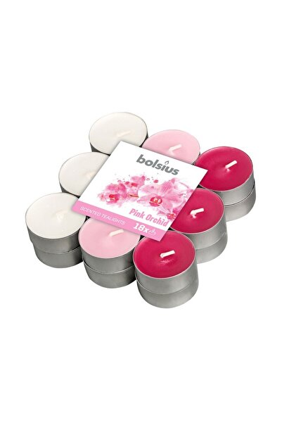 Bolsius Set 3 x 18 Lumanari Pastila, 4 Ore, Orhidee