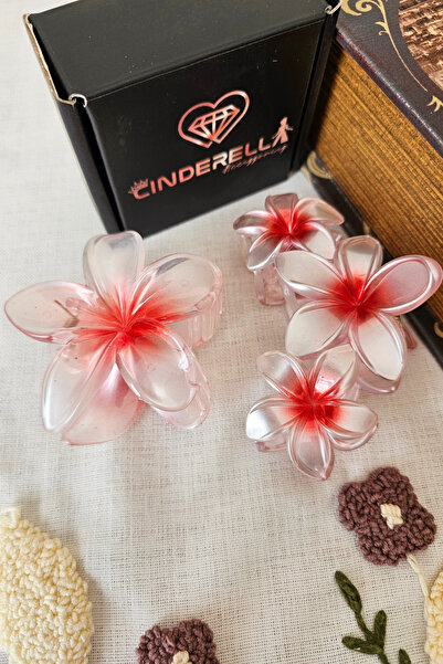 Cinderella Set of 2 Frosted Transparent Coral Red Floral Lotus Hair Clips - H...