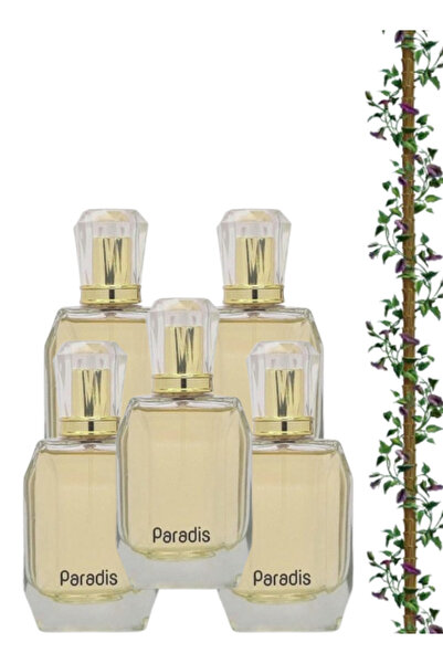 FİNAL 5 قطع عطر باراديس 100 مل