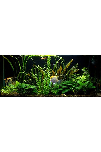 NO BRAND Tub LED 8520 pentru acvariu 30cm I SLIM AQUALED