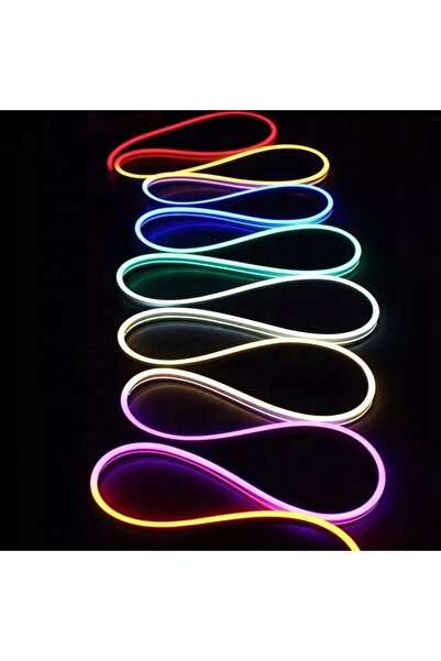 NO BRAND KIT Neon FLEX DIGITAL 12V 6x12mm 1m + Sursă de alimentare
