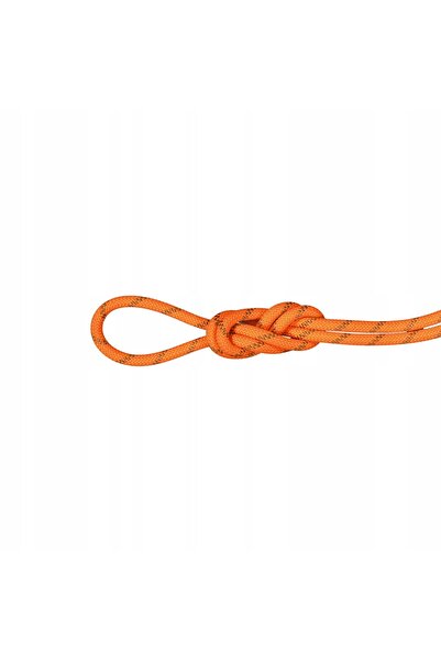 Mammut Coardă dinamică Alpine Dry 8mm portocaliu de siguranță 50m