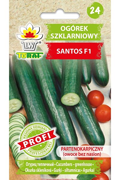 NO BRAND Semințe de castravete hidroponic Santos F1, fără semințe (tip fruct)