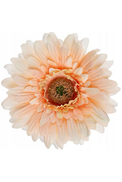 NO BRAND 24 bucăți GERBERA PEACH - Cap de producție piersici GERBERA PEACH "