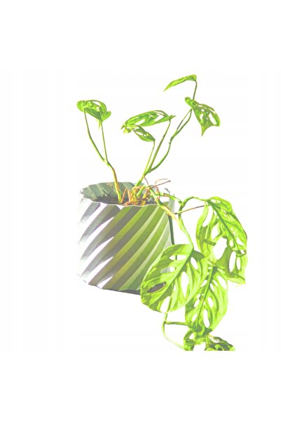 NO BRAND Husă pentru plante, Husă pentru ghiveci, Protector pentru plante, El...